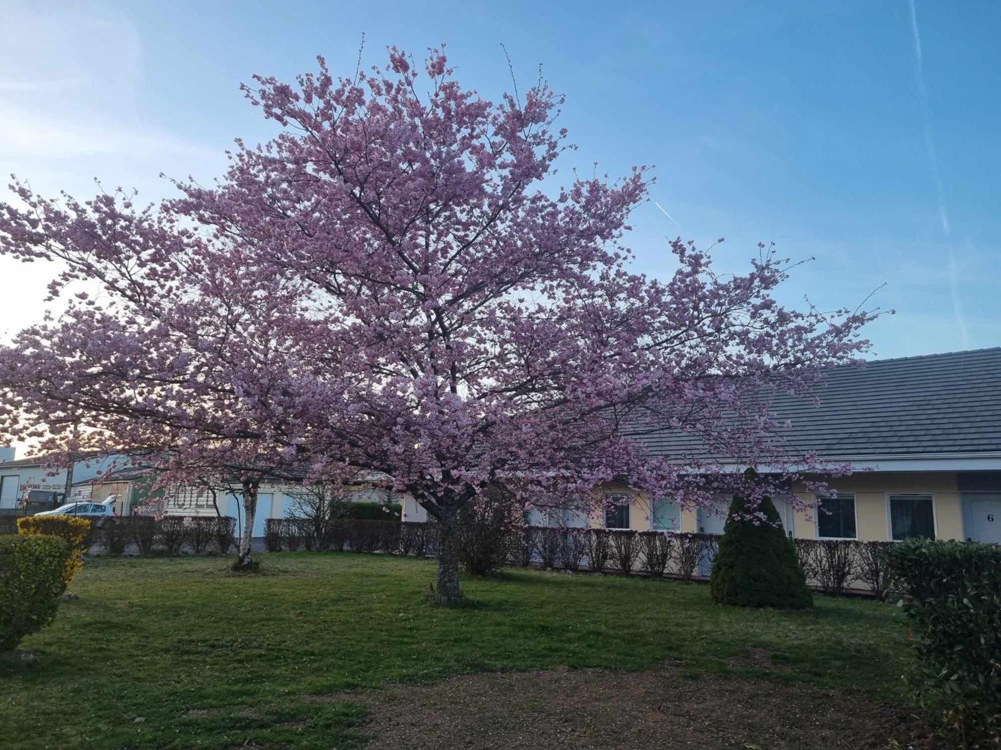 The Originals Access, Hotel Le Lutea Riom-es-Montagnes Luaran gambar